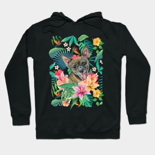 Tropical Short Haired Black Sable Fawn Chihuahua Hoodie